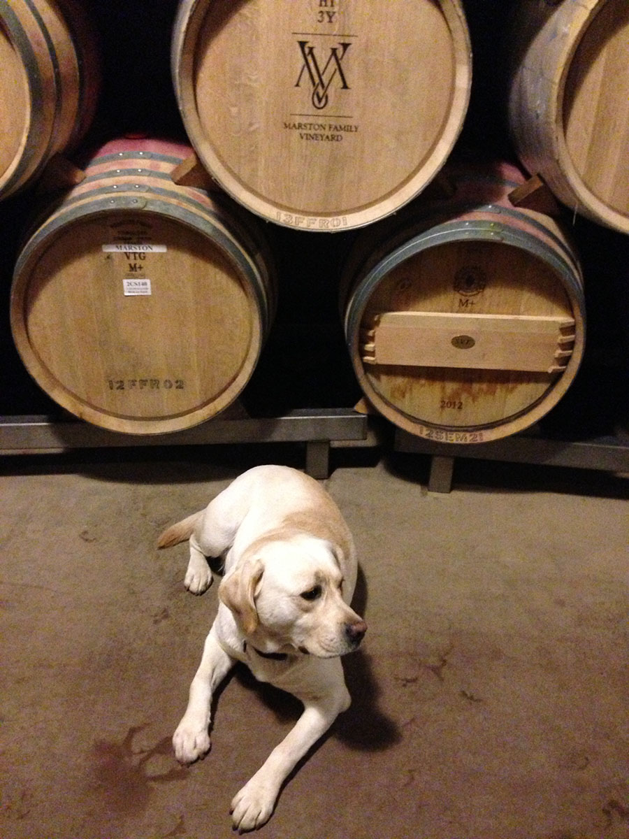 Tucker with barrels